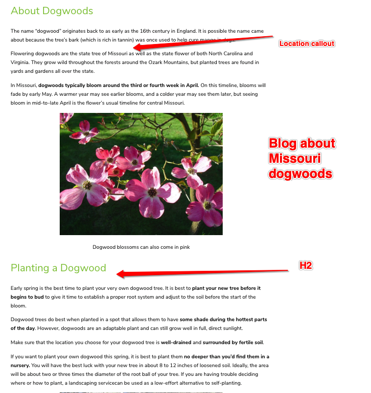 blog h2